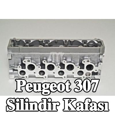 AMC Valf kılavuzları ile silindir kafası, valf yuvaları ile, eksantrik mili (ler), valf yayları olmadan, valfsız — Peugeot 307