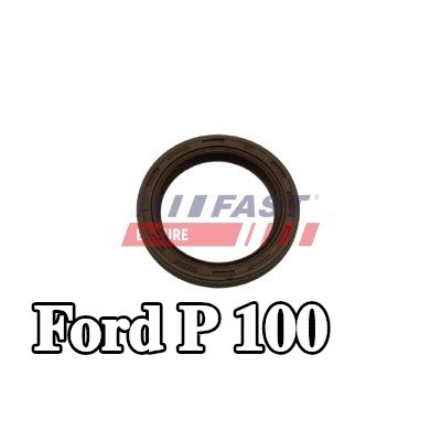 FAST حشية العمود، الترس التفاضلي — Ford P 100
