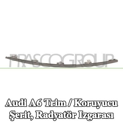 PRASCO Trim / koruyucu şerit, radyatör ızgarası Alt, Sağ — Audi A6