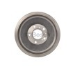 BOSCH Arka aks fren kampanası, 298mm — Citroën C25 (3)