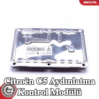 ESEN SKV Aydınlatma kontrol modülü — 2004 Citroën C5