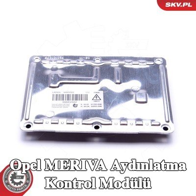 ESEN SKV Aydınlatma kontrol modülü — 2004 Opel Meriva