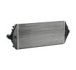 NRF Intercooler — Citroën Synergie (3)