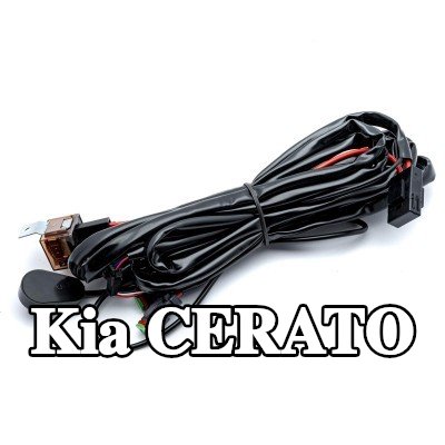 EINPARTS حزام، مصباح عمل — Kia Cerato
