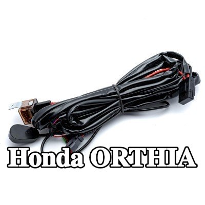 EINPARTS حزام، مصباح عمل — Honda Orthia