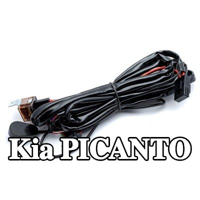 EINPARTS حزام، مصباح عمل — Kia Picanto
