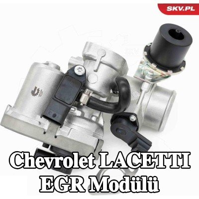 ESEN SKV EGR Modülü kendiliğinden kapanan — Chevrolet Lacetti