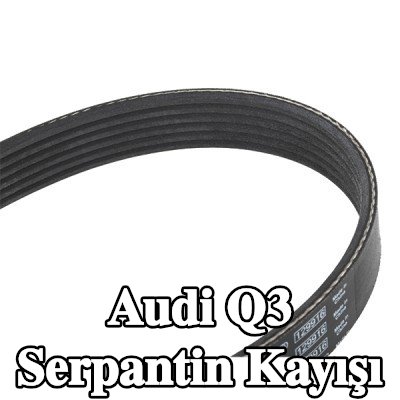 BOSCH Serpantin kayışı 1100mm, Number of ribs: 6 — Audi Q3
