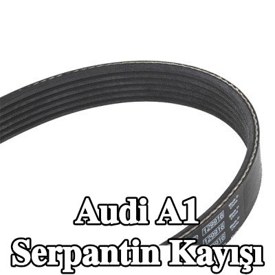 BOSCH Serpantin kayışı 1100mm, Number of ribs: 6 — Audi A1