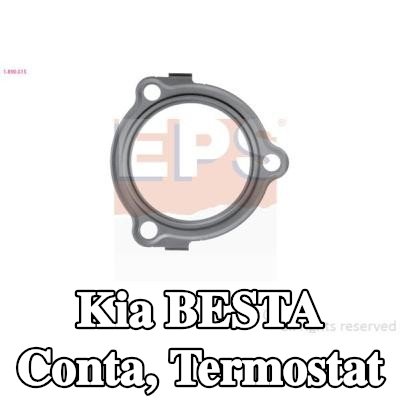 EPS Conta, termostat İtalya'da üretilmiştir - OE Eşdeğeri — Kia Besta