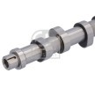 FEBI BILSTEIN Eksantrik Mili — 2006 Audi A4 (3)