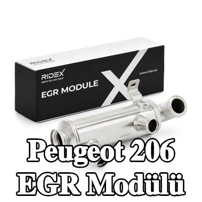 RIDEX EGR Modülü — Peugeot 206