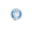 BOSCH Sinyal lambası ampulü W5W, 12V — DS Ds4 (9)