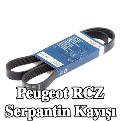 BOSCH Serpantin kayışı 1245mm, Number of ribs: 6 — Peugeot Rcz