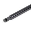RIDEX Arka kapak destek kolu Araç Arka Kapak, 830mm — Nissan Nv250 (3)