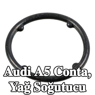 FEBI BILSTEIN Conta, yağ soğutucu — 2007 Audi A5