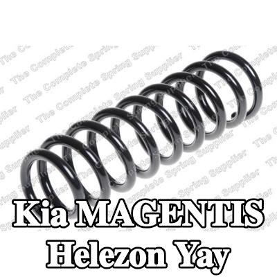 LESJÖFORS Helezon yay Arka Aks — Kia Magentis
