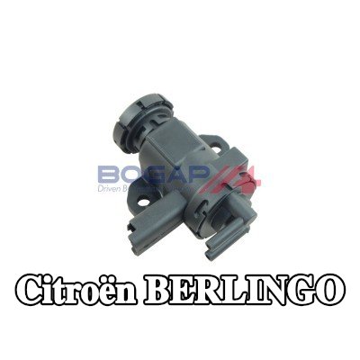 BOGAP محول الضغط، التحكم في العادم — 1998 Citroën Berlingo