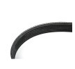 BOSCH Serpantin kayışı 976mm, Number of ribs: 6 — Ford B-max (2)