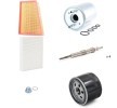 RIDEX Servis kiti — Renault Grand Scénic (1)