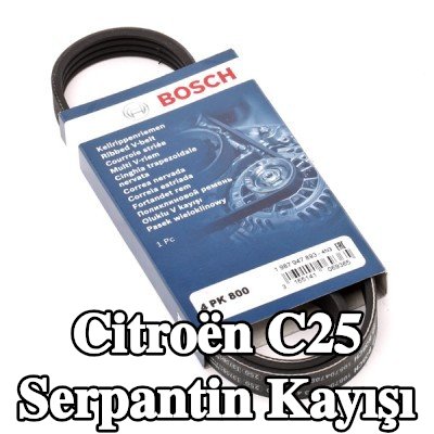 BOSCH Serpantin kayışı 800mm, Number of ribs: 4 — Citroën C25