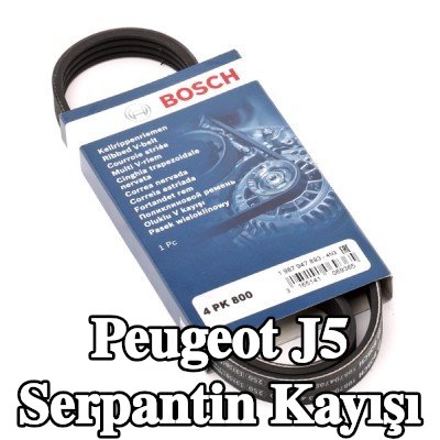 BOSCH Serpantin kayışı 800mm, Number of ribs: 4 — Peugeot J5