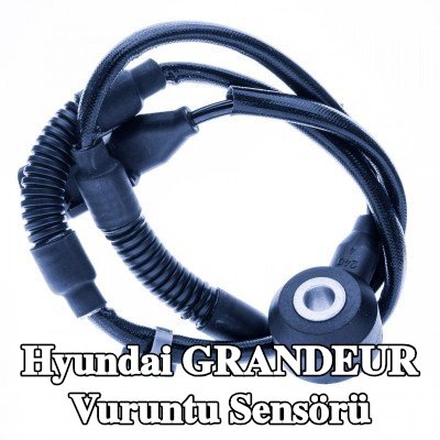 EINPARTS Vuruntu Sensörü — 2005 Hyundai Grandeur
