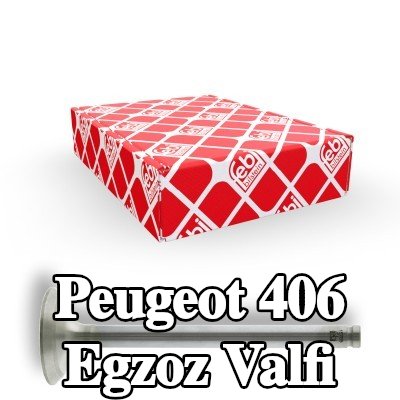 FEBI BILSTEIN Egzoz valfi — Peugeot 406