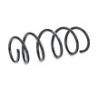 SACHS Helezon yay — 2012 Opel Corsa (2)