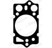 PAYEN Kafa contası 1, 42mm — Ford Scorpio (2)