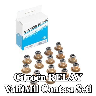 REINZ Valf mil contası seti — Citroën Relay
