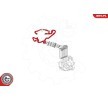 ESEN SKV Isıtıcı hortumu, ısı değiştirici — Citroën Xantia (4)