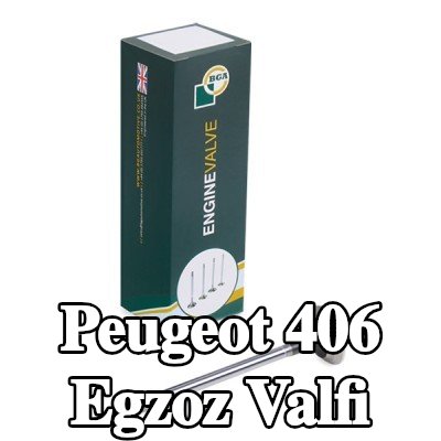 BGA Egzoz valfi — 1995 Peugeot 406
