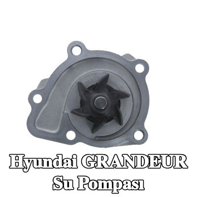 VALEO Kapaksız su pompası, conta/sızdırmazlık elemanları ile — 2012 Hyundai Grandeur