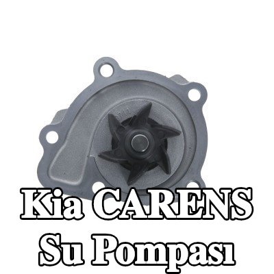 VALEO Kapaksız su pompası, conta/sızdırmazlık elemanları ile — 2012 Kia Carens