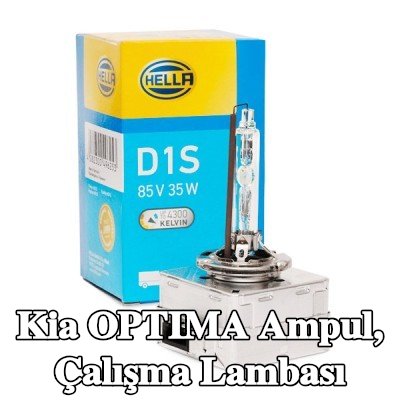 HELLA Ampul, çalışma lambası — Kia Optima