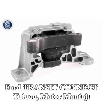 VAICO Tutucu, motor montajı Ön Aks Sağ, Q+, orijinal ekipman üreticisi kalitesi — 2014 Ford Transit Connect