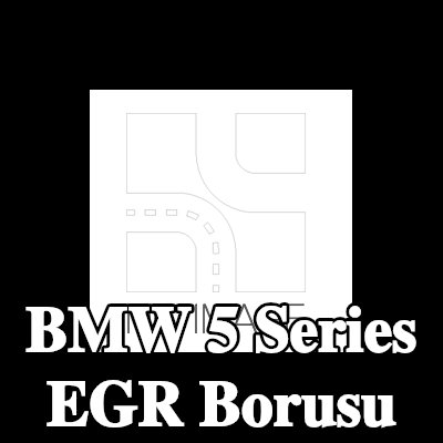 BMW EGR borusu — BMW 5 Series