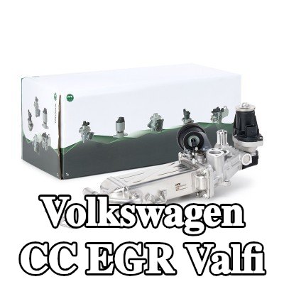 NGK EGR soğutuculu EGR valfi, conta/sızdırmazlık elemanları ile — 2012 Volkswagen Cc