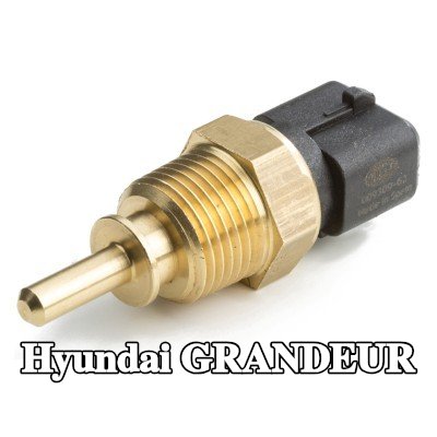HELLA مستشعر، درجة حرارة سائل التبريد — 2011 Hyundai Grandeur