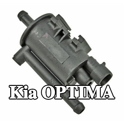 METZGER صمام، مرشح الكربون المنشط — 2011 Kia Optima