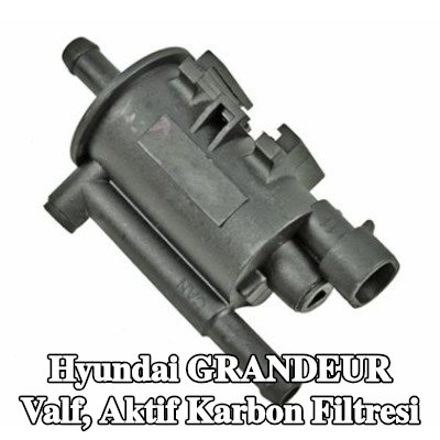 METZGER Valf, aktif karbon filtresi — Hyundai Grandeur