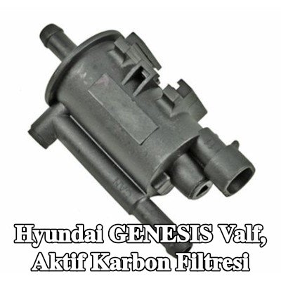 METZGER Valf, aktif karbon filtresi — 2008 Hyundai Genesis