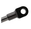 RIDEX Bagaj kapağı desteği — 1998 SEAT Marbella (4)