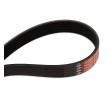 GATES V-Ribbed Kayış Seti Micro-V Kiti, Micro-V® Stretch Fit™ — 2012 Toyota Auris (4)