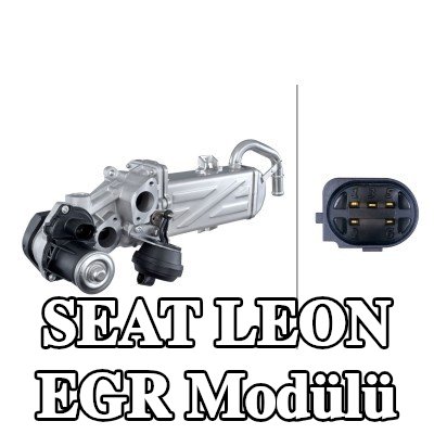 HELLA EGR soğutuculu EGR Modülü, conta/sızdırmazlık elemanları ile, EGR valfli — 2011 SEAT Leon
