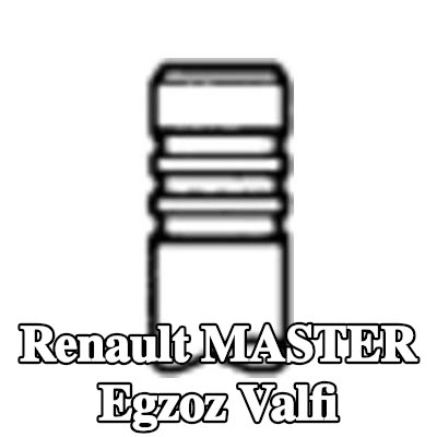 TRW Engine Component Egzoz valfi — Renault Master