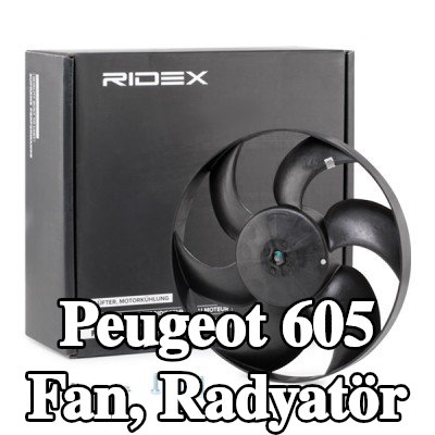 RIDEX Fan, radyatör 320mm — Peugeot 605