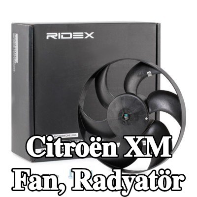 RIDEX Fan, radyatör 320mm — Citroën Xm