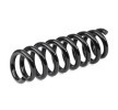 SACHS Helezon yay — BMW 1 Series (3)
